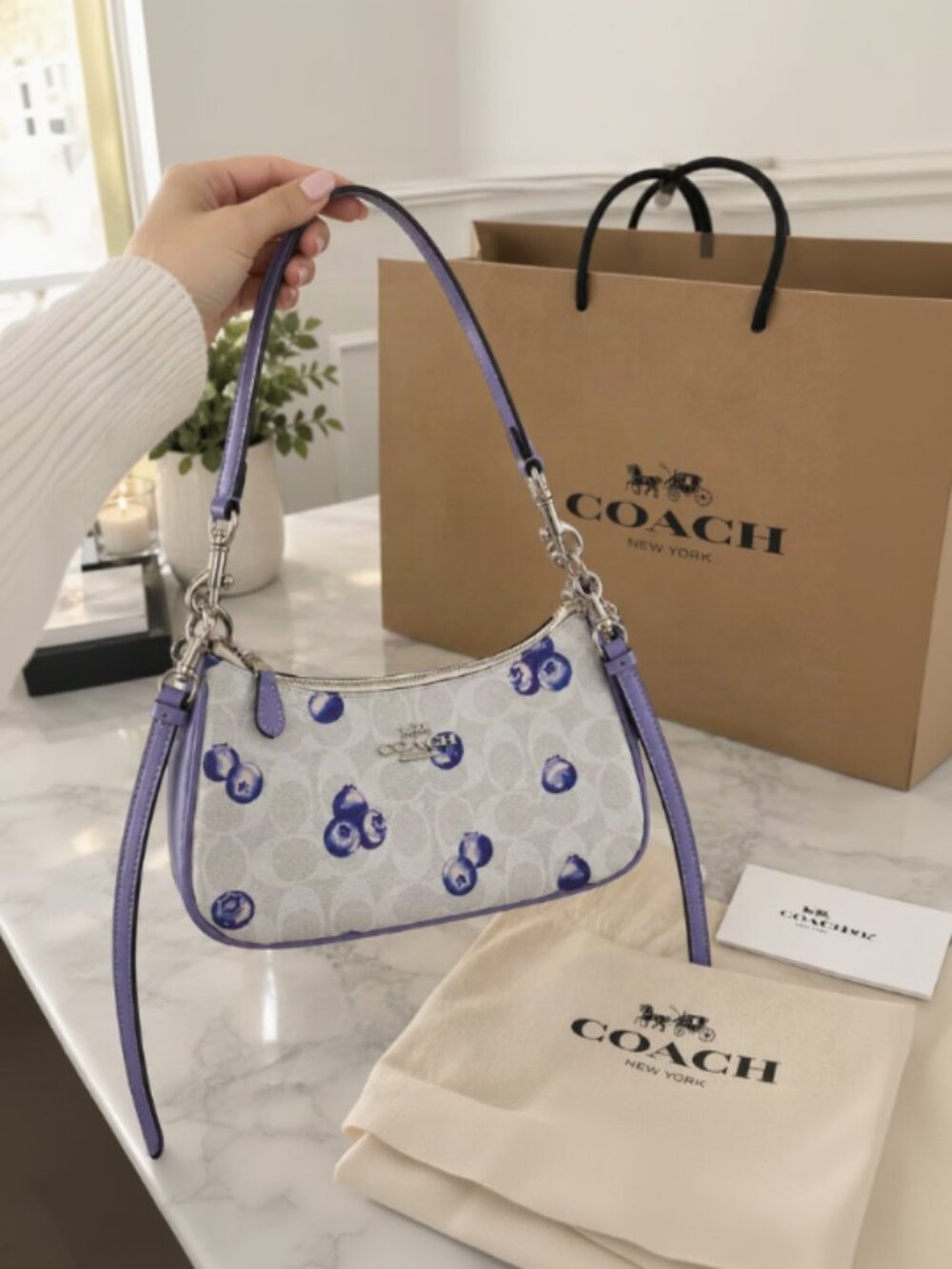 COACH CR292 Teri 2way Shoulder Signature Canvas Blueberry Print Outlet